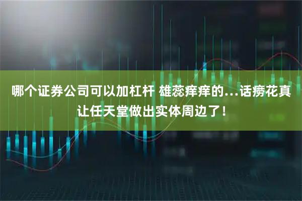 哪个证券公司可以加杠杆 雄蕊痒痒的…话痨花真让任天堂做出实体周边了！